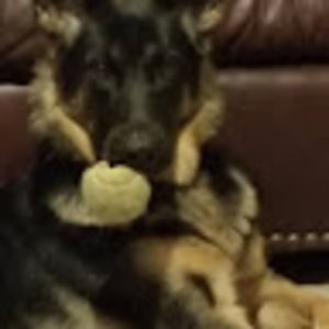 Meet your Posher, Jada